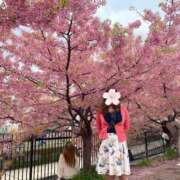 ヒメ日記 2025/04/07 13:21 投稿 えりこ 艶熟妻 京都店