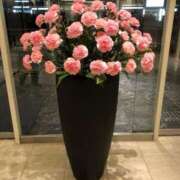 ヒメ日記 2025/11/06 16:25 投稿 やよい 艶熟妻 京都店