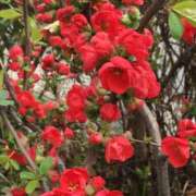 ヒメ日記 2026/03/05 16:28 投稿 うるみ 艶熟妻 京都店