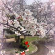 ヒメ日記 2025/03/31 15:35 投稿 西山みるく 彩タマンサ（埼玉ハレ系）