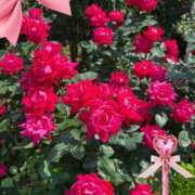 ヒメ日記 2025/05/13 17:53 投稿 西山みるく 彩タマンサ（埼玉ハレ系）