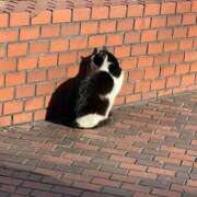 ヒメ日記 2026/04/20 10:37 投稿 鈴木　きらら Oasis(薬研堀)