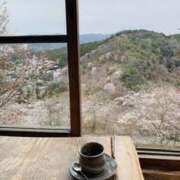 西 けいこ ４月の奈良１４：吉野山 名水コーヒー 30代40代50代と遊ぶなら博多人妻専科24時