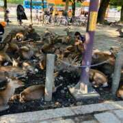 ヒメ日記 2025/01/31 21:36 投稿 西 けいこ 30代40代50代と遊ぶなら博多人妻専科24時