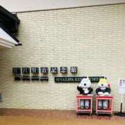 ヒメ日記 2025/05/02 00:15 投稿 西 けいこ 30代40代50代と遊ぶなら博多人妻専科24時