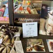 ヒメ日記 2025/05/02 02:45 投稿 西 けいこ 30代40代50代と遊ぶなら博多人妻専科24時