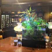 ヒメ日記 2025/06/30 23:15 投稿 西 けいこ 30代40代50代と遊ぶなら博多人妻専科24時