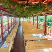 ヒメ日記 2025/07/31 09:19 投稿 西 けいこ 30代40代50代と遊ぶなら博多人妻専科24時