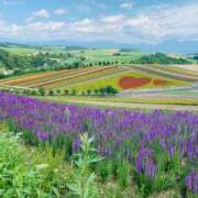 ヒメ日記 2025/08/02 17:31 投稿 西 けいこ 30代40代50代と遊ぶなら博多人妻専科24時