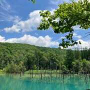 ヒメ日記 2025/08/02 18:16 投稿 西 けいこ 30代40代50代と遊ぶなら博多人妻専科24時