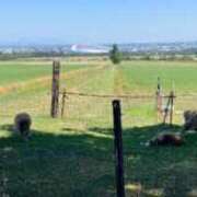 ヒメ日記 2025/08/03 09:41 投稿 西 けいこ 30代40代50代と遊ぶなら博多人妻専科24時