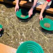 ヒメ日記 2025/11/06 01:00 投稿 西 けいこ 30代40代50代と遊ぶなら博多人妻専科24時