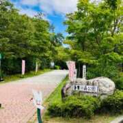 西 けいこ 佐渡の旅１３：トキの森公園 30代40代50代と遊ぶなら博多人妻専科24時