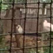 西 けいこ 佐渡の旅１４：ビミョ〜・・・ 30代40代50代と遊ぶなら博多人妻専科24時