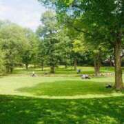 ヒメ日記 2025/12/31 20:24 投稿 西 けいこ 30代40代50代と遊ぶなら博多人妻専科24時