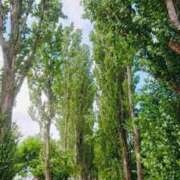 ヒメ日記 2025/12/31 20:33 投稿 西 けいこ 30代40代50代と遊ぶなら博多人妻専科24時