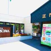 ヒメ日記 2026/02/28 14:23 投稿 西 けいこ 30代40代50代と遊ぶなら博多人妻専科24時