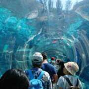 ヒメ日記 2026/02/28 14:36 投稿 西 けいこ 30代40代50代と遊ぶなら博多人妻専科24時