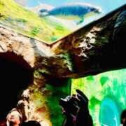 ヒメ日記 2026/02/28 14:49 投稿 西 けいこ 30代40代50代と遊ぶなら博多人妻専科24時