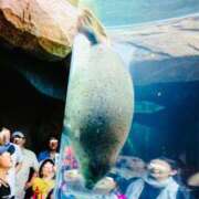 ヒメ日記 2026/02/28 15:17 投稿 西 けいこ 30代40代50代と遊ぶなら博多人妻専科24時