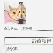 ヒメ日記 2026/09/11 10:03 投稿 西 けいこ 30代40代50代と遊ぶなら博多人妻専科24時