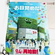 ヒメ日記 2026/09/19 10:17 投稿 西 けいこ 30代40代50代と遊ぶなら博多人妻専科24時