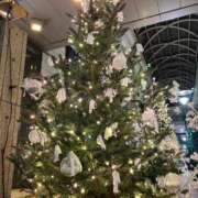 ヒメ日記 2024/12/19 20:17 投稿 松山 ゆき 30代40代50代と遊ぶなら博多人妻専科24時