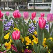 ヒメ日記 2025/04/06 13:58 投稿 松山 ゆき 30代40代50代と遊ぶなら博多人妻専科24時