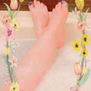 ヒメ日記 2025/06/29 08:30 投稿 松山 ゆき 30代40代50代と遊ぶなら博多人妻専科24時