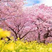 ヒメ日記 2025/02/23 19:41 投稿 杉森じゅん 彩タマンサ（埼玉ハレ系）