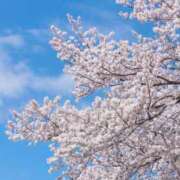 ヒメ日記 2025/04/10 16:29 投稿 杉森じゅん 彩タマンサ（埼玉ハレ系）