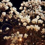 ヒメ日記 2025/03/22 22:47 投稿 かすみ 横浜人妻セレブリティ（ユメオト）