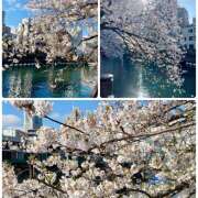 ヒメ日記 2025/04/07 15:22 投稿 かすみ 横浜人妻セレブリティ（ユメオト）