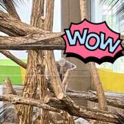 ヒメ日記 2025/07/04 17:22 投稿 かすみ 横浜人妻セレブリティ（ユメオト）