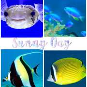 ヒメ日記 2025/08/27 14:42 投稿 かすみ 横浜人妻セレブリティ（ユメオト）