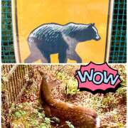 ヒメ日記 2025/11/12 20:36 投稿 かすみ 横浜人妻セレブリティ（ユメオト）