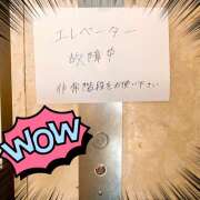 ヒメ日記 2026/02/18 14:24 投稿 かすみ 横浜人妻セレブリティ（ユメオト）
