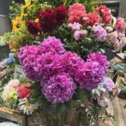 ヒメ日記 2025/06/10 10:10 投稿 ゆうこ 横浜人妻セレブリティ（ユメオト）