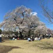 ヒメ日記 2026/04/06 14:19 投稿 ゆうこ 横浜人妻セレブリティ（ユメオト）