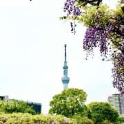 ゆうこ 楽しかった 横浜人妻セレブリティ（ユメオト）