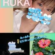 ヒメ日記 2026/05/20 17:49 投稿 るか 千葉人妻セレブリティ（ユメオト）