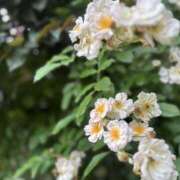 ヒメ日記 2025/05/20 10:29 投稿 ゆづは キスMy