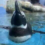 ヒメ日記 2025/10/26 19:45 投稿 ゆづは キスMy