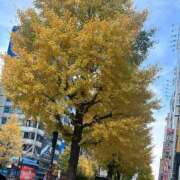 ヒメ日記 2025/12/08 11:32 投稿 ゆづは キスMy