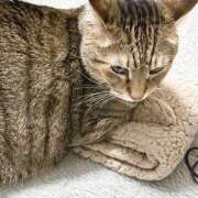 ヒメ日記 2026/02/25 18:22 投稿 ゆづは キスMy