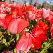 ヒメ日記 2026/03/29 14:44 投稿 ゆづは キスMy