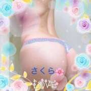 ヒメ日記 2025/02/04 12:31 投稿 横峰さくら 柏東口ママ友さーくる