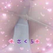 ヒメ日記 2025/03/10 12:56 投稿 横峰さくら 柏東口ママ友さーくる