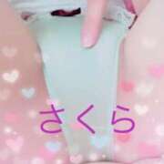 ヒメ日記 2025/12/17 16:48 投稿 横峰さくら 柏東口ママ友さーくる