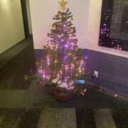 ヒメ日記 2024/12/24 16:13 投稿 向井さりな 人妻愛姫◆Kiaro24時!!